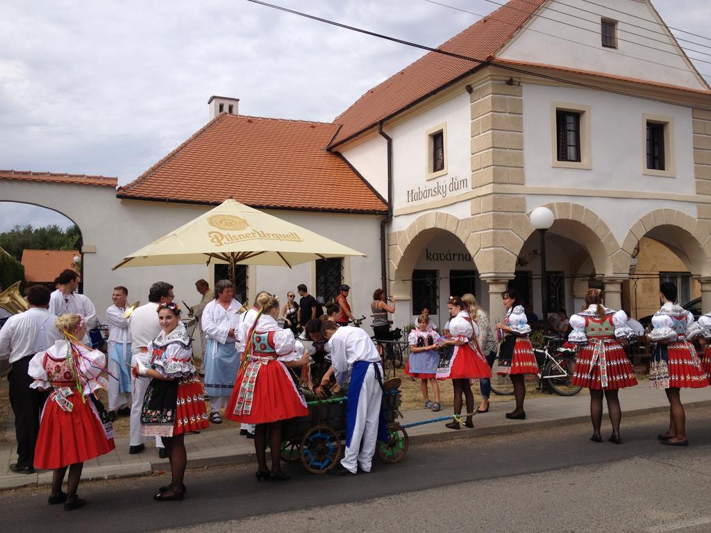 Habansky Dum Hotel Dolni Vestonice Bagian luar foto