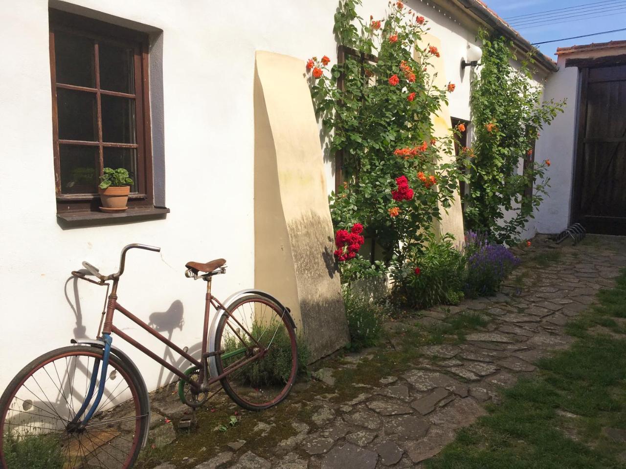 Habansky Dum Hotel Dolni Vestonice Bagian luar foto